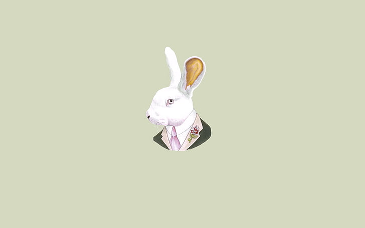 ilustracja biały królik, zając, minimalizm, głowa, królik, krawat, jasne tło, zupa, Tapety HD