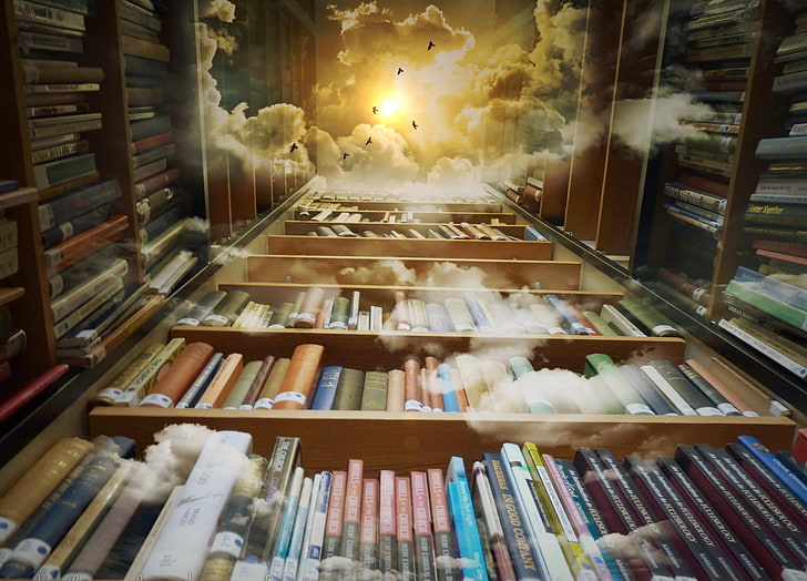 livros, nuvens, pássaros, vista para os vermes, prateleiras, HD papel de parede