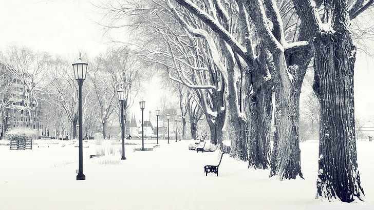 Inverno HD, fotografia, inverno, Sfondo HD