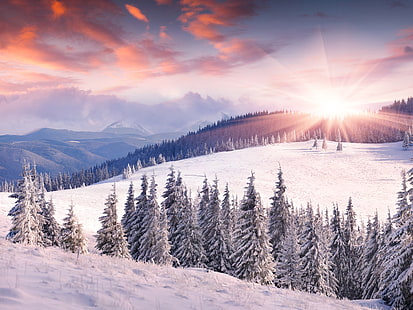 Morgendämmerung, Winter, Schnee, Sonne, Berge, Bäume, Sonnenuntergang auf schneebedeckter Bergmalerei, Morgendämmerung, Winter, Schnee, Sonne, Berge, Bäume, HD-Hintergrundbild HD wallpaper