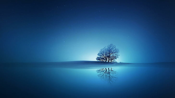 природа, самотно дърво, самотно дърво, синкаво, отражение, отражение, хоризонт, нощно небе, нощ, HD тапет
