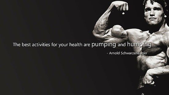 Bodybuilding, Bodybuilding, Fitness, Heben, Muskel, Muskeln, Gewicht, HD-Hintergrundbild HD wallpaper