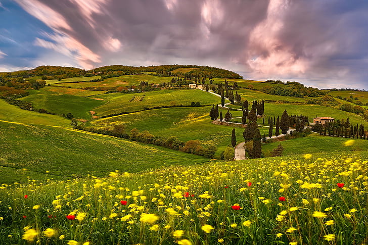 写真、トスカーナ、雲、花、丘、イタリア、草原、夏、 HDデスクトップの壁紙