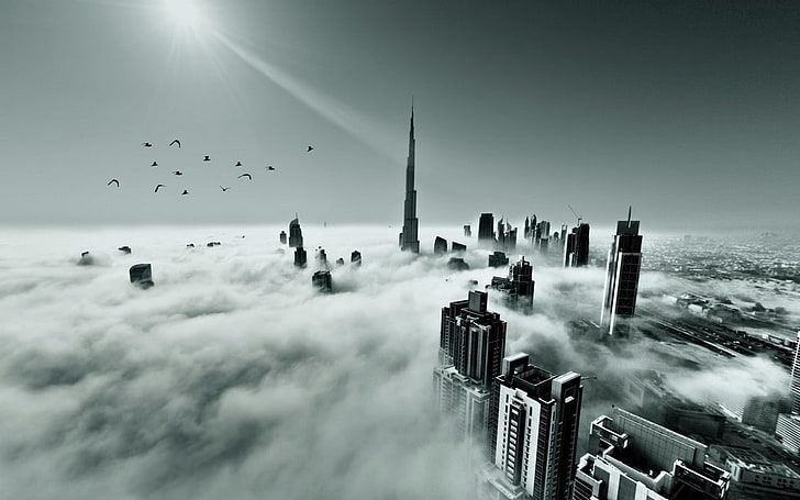 Architecture, birds, Dubai, Flying, landscape, mist, monochrome,  Skyscraper, HD wallpaper | Wallpaperbetter