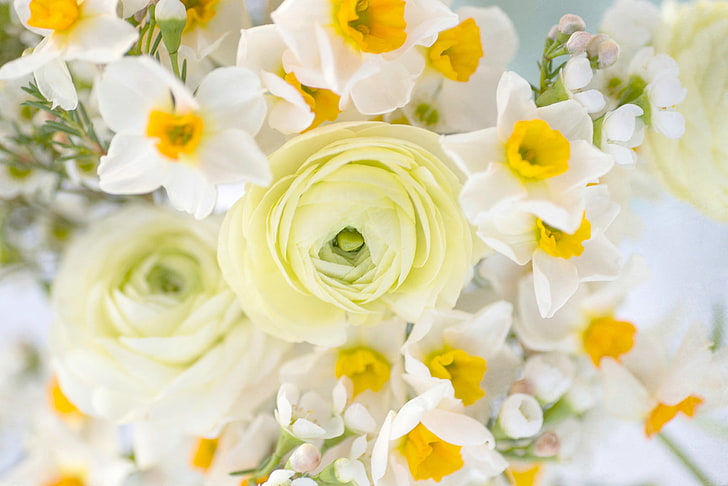 bouquet, daffodils, Ranunculus, HD wallpaper