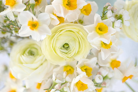 باقة ، أزهار النرجس البري ، حوذان، خلفية HD HD wallpaper