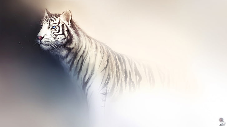 white and black tiger wallpaper, white, light, tiger, background, predator, art, wild cat, HD wallpaper