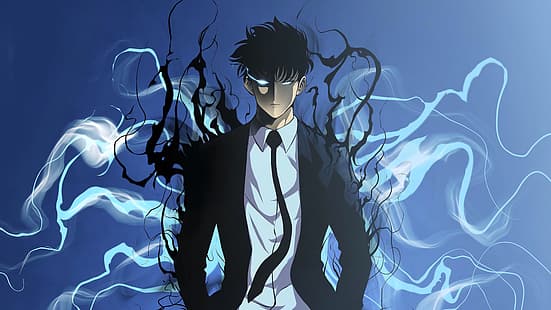 Solo Leveling, Sung Jin Woo, Manga, Anime-Jungs, HD-Hintergrundbild HD wallpaper