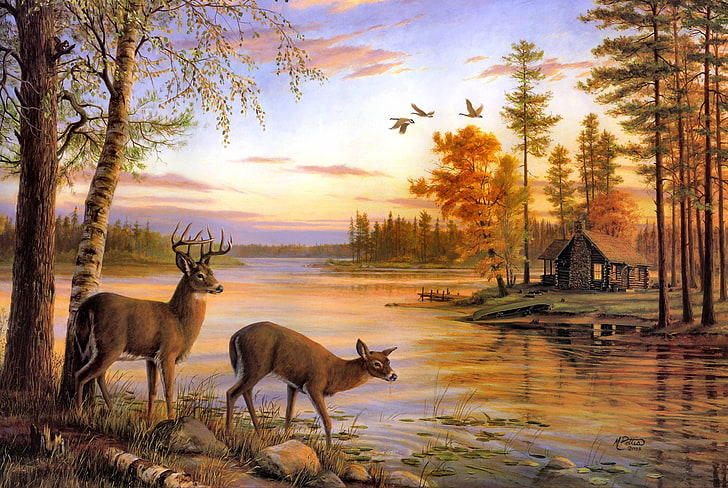 Brown deers, river, nature, painting, deer, Mary Pettis, birch, Quiet  Evening, HD wallpaper | Wallpaperbetter
