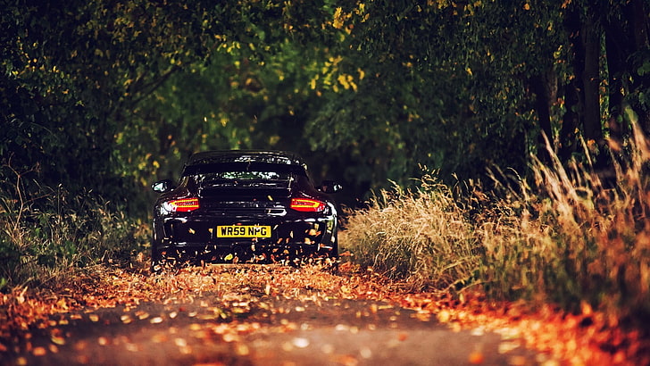 black car, black sports car on road between trees at daytime, Porsche, car, fall, black cars, road, vehicle, leaves, forest, gloss, nature, HD wallpaper