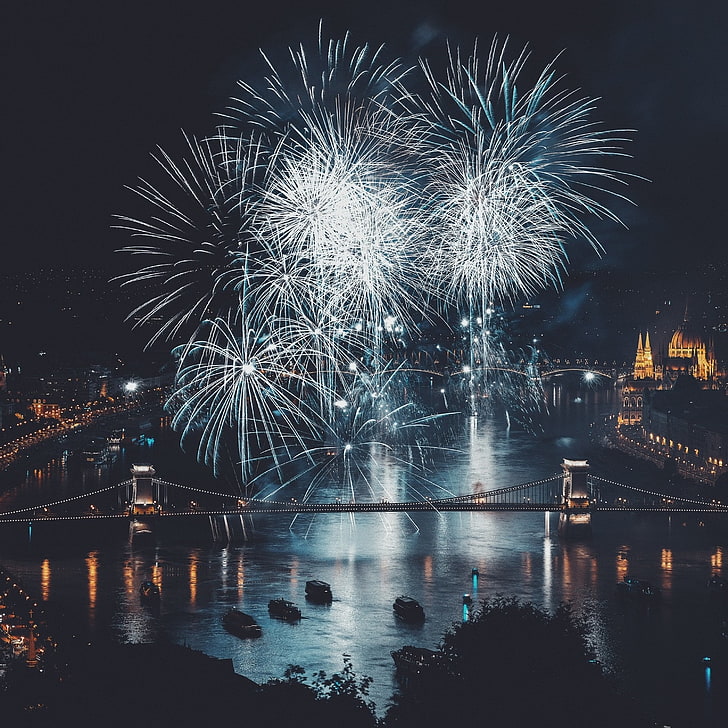 fireworks display, salute, bridge, river, city, night, HD wallpaper
