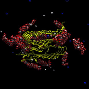 Moleküle, Mikroorganismen, mikroskopisch, Mikrobiologie, HD-Hintergrundbild HD wallpaper