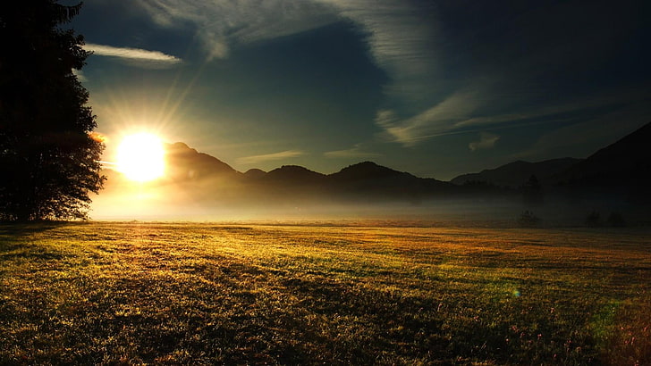 meadow, sunset, field, evening, sun, HD wallpaper