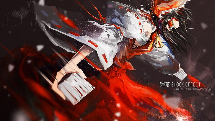 흰색과 빨간색 전통 드레스 일러스트, 동방, Hakurei Reimu, 애니메이션에 검은 머리 여자, HD 배경 화면