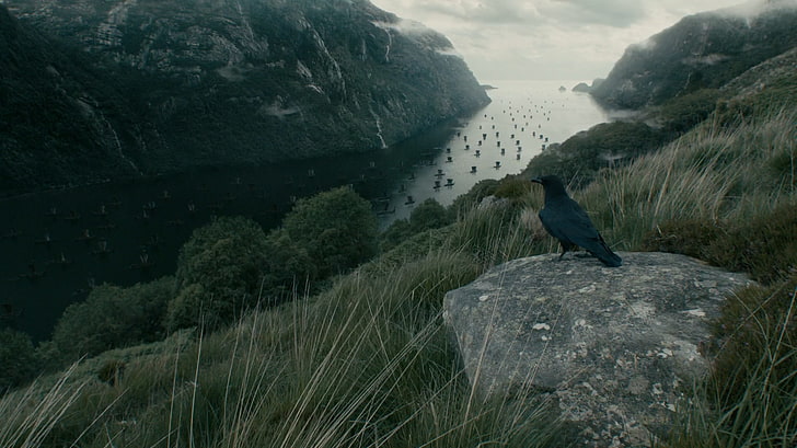 Vikings (TV series), raven, water, mountains, HD wallpaper