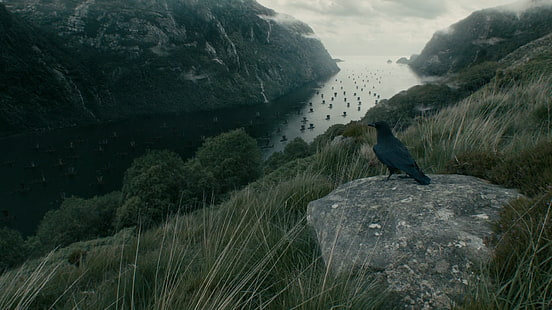 Vikings (séries de TV), corvo, água, montanhas, HD papel de parede HD wallpaper