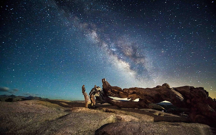 Blue Milky Way Galaxy Night Desert Wood-HD Desktop .., brązowe drewno dryfu, Tapety HD