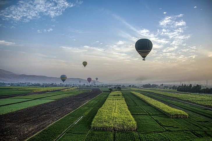 green grass with flying hot hair balloons photo, luxor, luxor, Luxor, green grass, hot, hair, balloons, photo, Christopher Michel, pyramid, pyramids, giza, hot Air Balloon, flying, nature, air Vehicle, sky, outdoors, air, landscape, summer, field, rural Scene, adventure, HD wallpaper