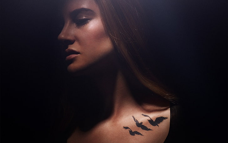 Divergent 2014 Movie HD Desktop Wallpaper 05, bird silhouettes tattoos, HD wallpaper