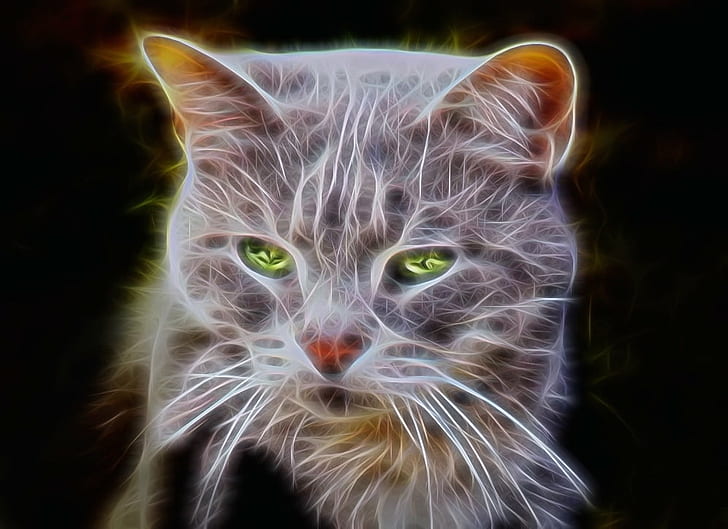 短い毛皮の灰色の猫のイラスト 猫 アート 短い イラスト ペット 飼い猫 動物 ペット ネコ科 子猫 見ている かわいい Hdデスクトップの壁紙 Wallpaperbetter