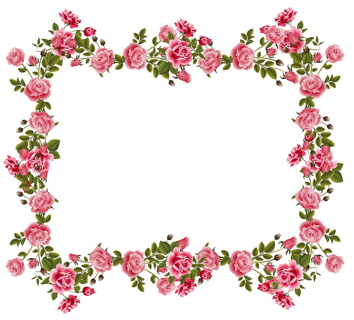 Blumenrahmen, Trandafiri, Rose, Rahmen, Blumen, Karte, Grün, Blume, Weiß, Rosa, HD-Hintergrundbild