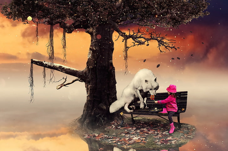 lupo bianco vicino alla ragazza seduta sulla panchina pittura, lupo, ragazza, caramelle, Sfondo HD