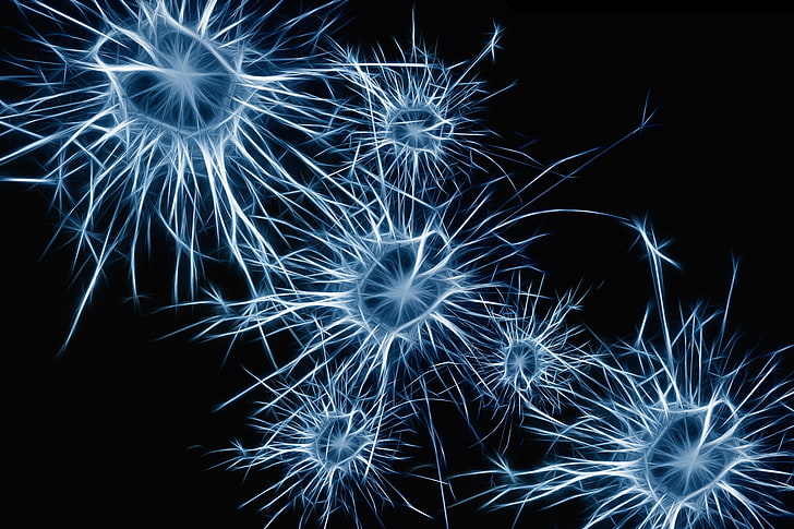 خلفية رقمية زرقاء وبيضاء ، خلايا عصبية ، هيكل، خلفية HD