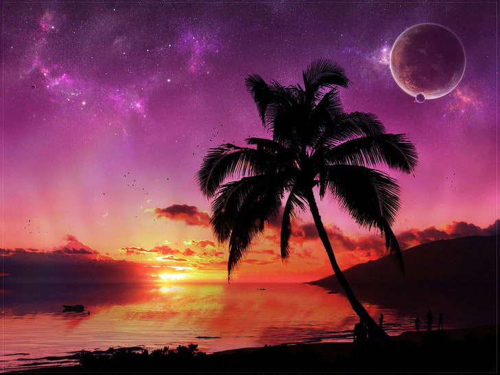 palm tree and moon, sunset, planet, Palma, HD wallpaper