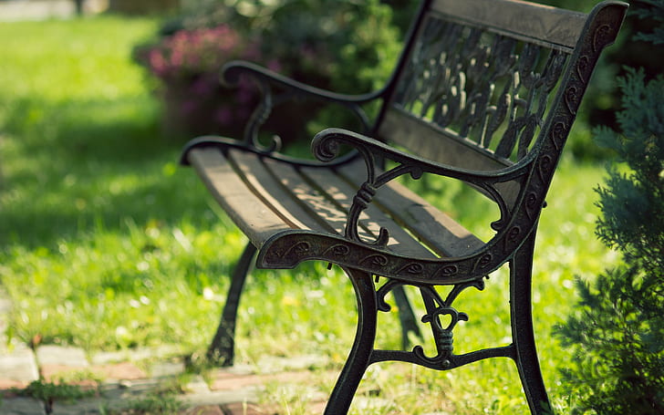 مقعد في الحديقة ، مقعد حديقة فولاذي أسود ، حديقة ، مقعد ، تصوير، خلفية HD