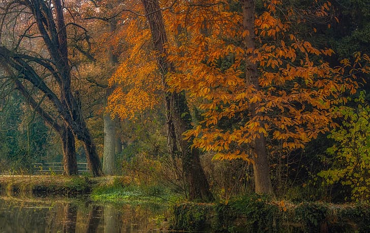 осень, деревья, пейзаж, природа, пруд, парк, канал, Голландия, Ян-Херман Виссер, HD обои
