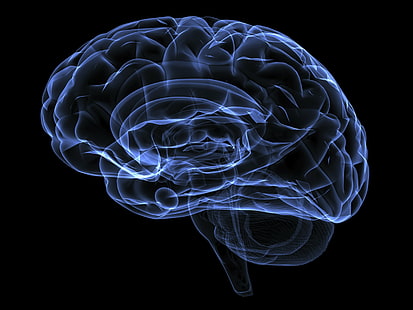3, Anatomie, Gehirn, d, digital, Kopf, Medizinisch, psychedelisch, Strahl, Schädel, x, XRAY, HD-Hintergrundbild HD wallpaper