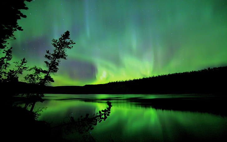 Aurora Borealis Green Night HD, northern lights, nature, night, green, aurora, borealis, HD wallpaper