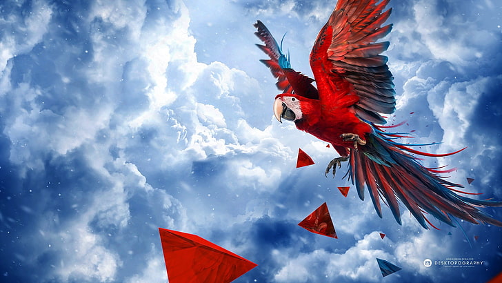Scarlet Macaw, Desktopography, nature, animals, parrot, birds, sky, digital art, HD wallpaper