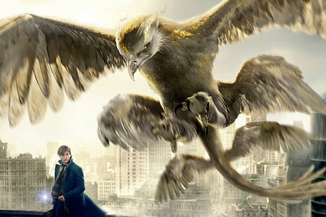 fantastic beasts and where to find them, 2016 movies, movies, HD wallpaper HD wallpaper