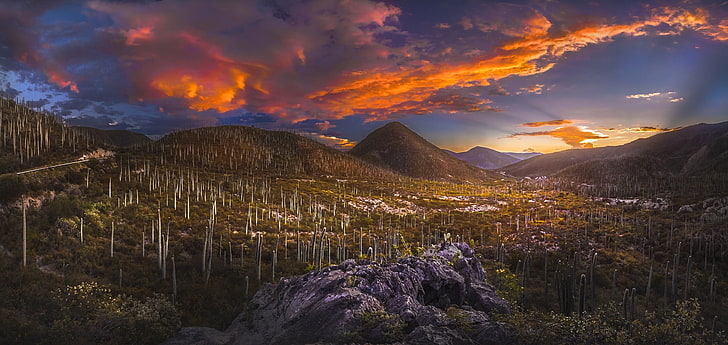aerial photography grass valley, nature, landscape, sunset, desert, valley, hills, clouds, sky, sunlight, cactus, shrubs, Mexico, HD wallpaper