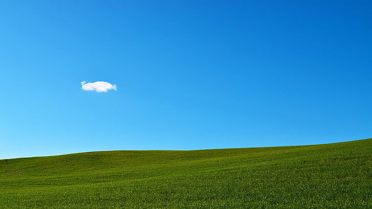 Зеленая трава и небо, похожие на Windows XP обои, HD обои