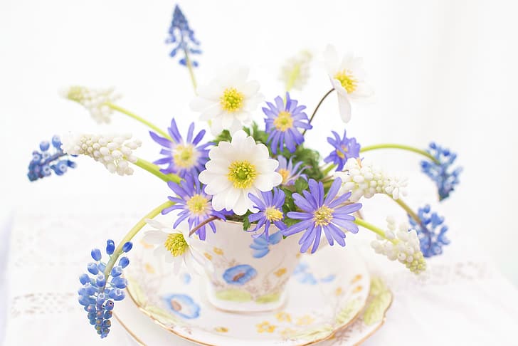 Cup, saucer, a bunch, Muscari, anemones, anemone, Viper onion, hyacinth mouse, HD wallpaper