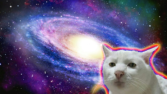 แมวอวกาศ, วอลล์เปเปอร์ HD HD wallpaper