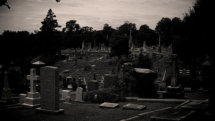 много надгробий, Голливудское кладбище, HD обои