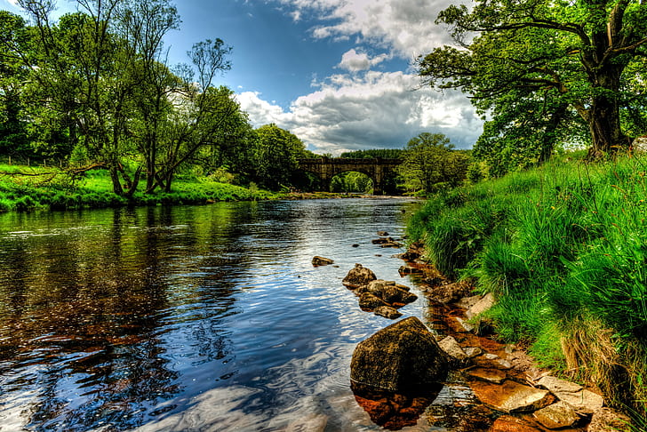 England river, river in forest, England river, landscape, Bolton, Wharfe, grass, HDR, Nature, HD wallpaper