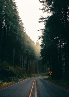 туман, пейзаж, лес, дорога, портретный дисплей, HD обои HD wallpaper