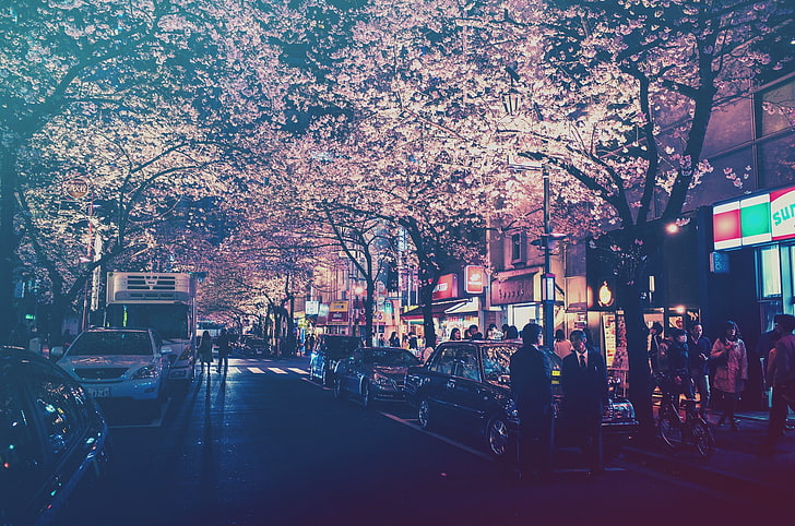 street, Japan, street light, lights, city, filter, HD wallpaper
