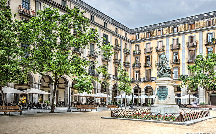 Independence Square in Girona Catalonia, green leafed tree, Europe, Spain, HD wallpaper