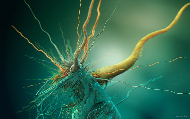 Fotografía macro de raíz marrón, abstracto, cerebro, células, biología, arte digital, render, Fondo de pantalla HD