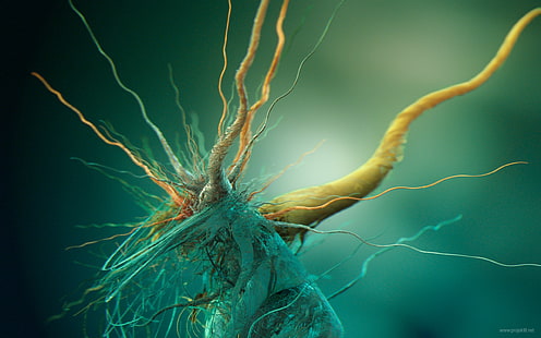 Fotografía macro de raíz marrón, abstracto, cerebro, células, biología, arte digital, render, Fondo de pantalla HD HD wallpaper