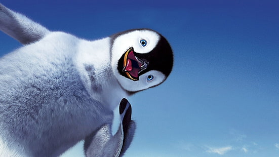white and black penguin, the sky, smile, penguin, Happy feet, HD wallpaper HD wallpaper