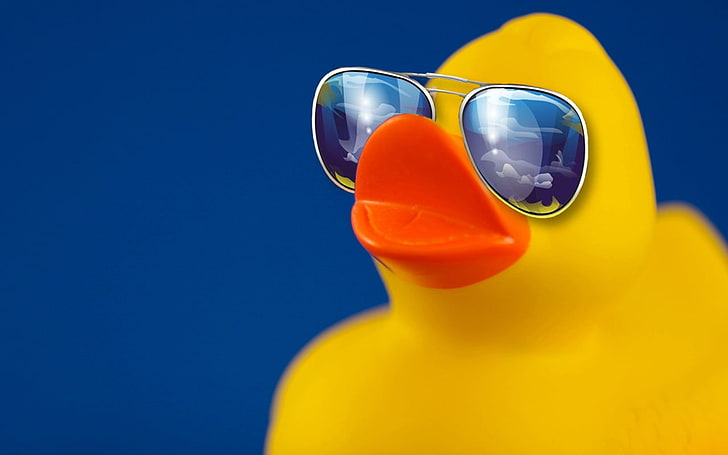 patos gafas de sol 1280x800 Animales Patos HD Art, patos, gafas de sol, Fondo de pantalla HD