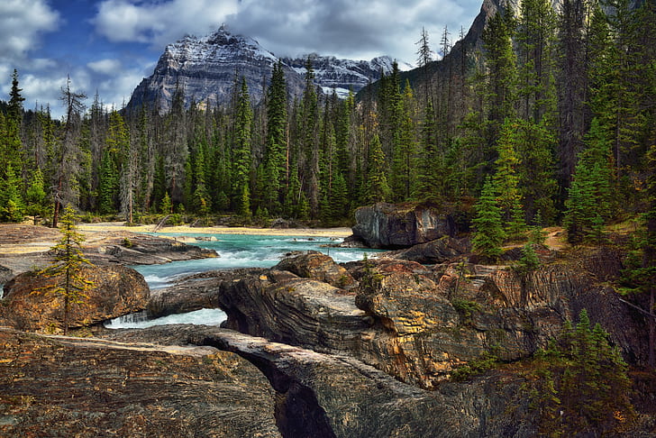 time lapse photography of water falls surrounded by pine trees, yoho national park, yoho national park, Mountain, Backdrop, Natural Bridge, Yoho National Park, time lapse photography, water falls, pine trees, Nikon D800E, Day, Trip, Alberta, British Columbia, Kicking Horse River, Looking East, Mount Stephen, Capture, NX2, Edited, Color, Pro, Nature, Landscape, Blue Skies, Clouds, Rocky Mountains, Canadian Rockies, Distance, Hillside, Trees, Evergreens, Rocks, Boulders, Falls  River, Emerald Lake, Lake Road, Area, Walking, Southern, Continental Ranges, Banff, Lake Louise, Core Area, Bow Range, Canvas, Portfolio, Canada, forest, scenics, outdoors, rock - Object, tree, water, beauty In Nature, river, national Landmark, summer, HD wallpaper