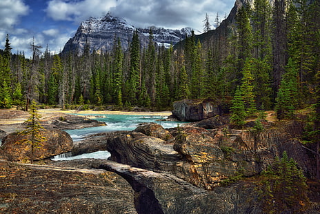 time lapse photography of water falls surrounded by pine trees, yoho national park, yoho national park, Mountain, Backdrop, Natural Bridge, Yoho National Park, time lapse photography, water falls, pine trees, Nikon D800E, Day, Trip, Alberta, British Columbia, Kicking Horse River, Looking East, Mount Stephen, Capture, NX2, Edited, Color, Pro, Nature, Landscape, Blue Skies, Clouds, Rocky Mountains, Canadian Rockies, Distance, Hillside, Trees, Evergreens, Rocks, Boulders, Falls  River, Emerald Lake, Lake Road, Area, Walking, Southern, Continental Ranges, Banff, Lake Louise, Core Area, Bow Range, Canvas, Portfolio, Canada, forest, scenics, outdoors, rock - Object, tree, water, beauty In Nature, river, national Landmark, summer, HD wallpaper HD wallpaper