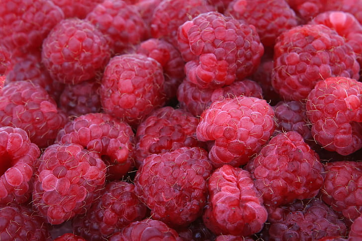 Raspberries, HD wallpaper